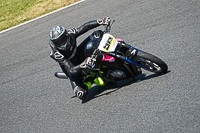 enduro-digital-images;event-digital-images;eventdigitalimages;mallory-park;mallory-park-photographs;mallory-park-trackday;mallory-park-trackday-photographs;no-limits-trackdays;peter-wileman-photography;racing-digital-images;trackday-digital-images;trackday-photos